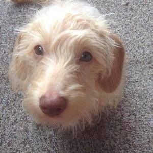 Meet your Posher, Lydia